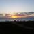 Tracy Waser's profile image