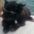Christi Stephens Angermiller's profile image