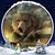 Debi Braun's profile image