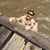 David Vickery's profile image