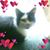 Tracey Landry's profile image