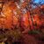Bobbi Carnley's profile image
