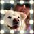 Shanna McConnell-Haggerty's profile image