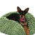 Nancy Snead's profile image