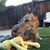 Tina Gagne's profile image