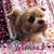 Wanda Edwards's profile image