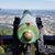Bill Whitlock's profile image