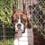 Kim Wysong Greulich's profile image