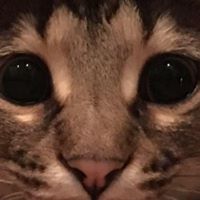 Patricia Slauson-Marcussen's profile image
