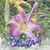 Rebecca Blubaugh's profile image