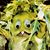 Andrea Compton's profile image