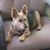 JoDee Johnson-Cate's profile image