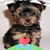 Sharon Ward's profile image