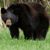 Rodney Crawley's profile image