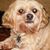 Bob Cogswell's profile image