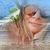 Ređina Aljinovic's profile image