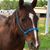 Nycole Wiek's profile image