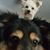 Kathy Jorgensen Nadeau's profile image