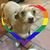 Shannon Huff's profile image
