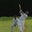 Anmol Wassan's profile image