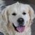 Nancy Ziegler's profile image