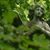 Karin Ursula Edmondson's profile image