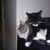 Dawn Henson's profile image