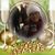 Kimberly Burke's profile image