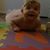 Jackie Fortson's profile image