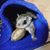 Connie Hiebert's profile image