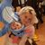 Nancy May Taylor's profile image