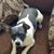 Lynne Taunton's profile image