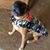 Shannon Stotler's profile image
