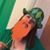 Sandy Zimmerman's profile image