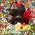 Kisha Roper's profile image