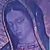 Guadalupe Castro's profile image