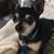 Mary Mengel's profile image