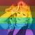 Sasha Sonja Wengler's profile image
