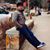 रंजन पौडेल's profile image