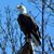 Ron Houtman's profile image