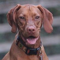 Jeanna Brown's profile image