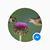Missy Folsom's profile image