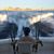 Felipe Javier Sanjurjo Marcin's profile image