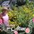 Susan Maxwell's profile image