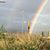Terri Fulton Totty's profile image