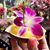 Beatriz Flores's profile image