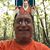 John Pace's profile image