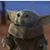 Wes Robinson's profile image
