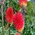 Katherine Kneece's profile image