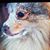 Kathy Braun's profile image